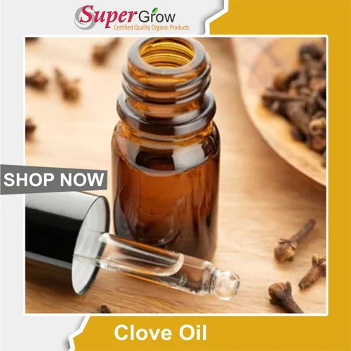 Clove Oil روغن لونگ 01