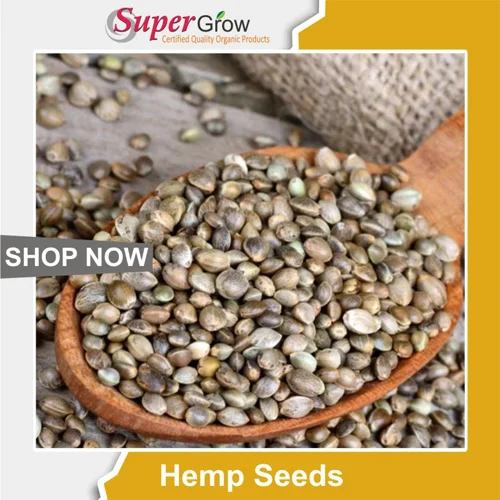 Hemp Seeds تخم قنب 02