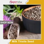 Milk Thistle Seed بیج اونٹ کٹارہ 02